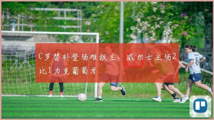 C罗替补登场难救主，威尔士主场2比1力克葡萄牙